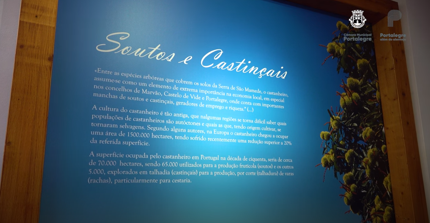 2: Visita Guiada Centro Museológico da Arte Cesteira | Soutos e Castinçais